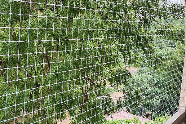 Bird Net Dealer India