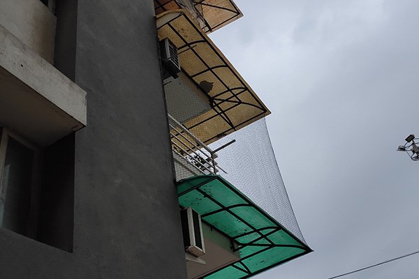 Bird Net Dealer Viramgam