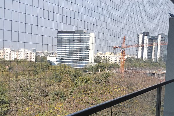 Bird Net For Warehouse in Bavla