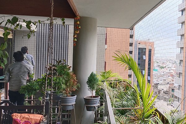 Bird Net Company kadi