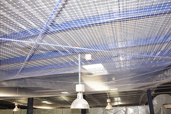 industrial bird netting solution in Mehsana