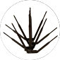 Polycarbonate Bird Deterrent Spikes