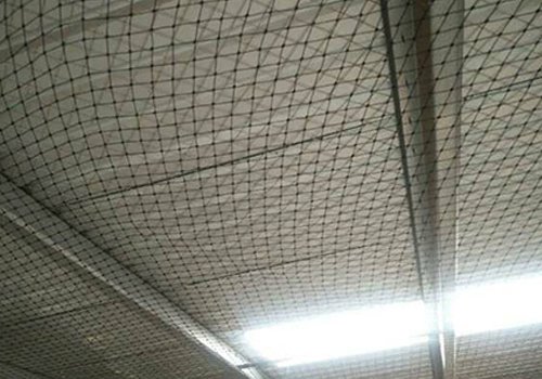 Industrial Bird Netting Solutions in bechraji